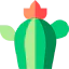 Cactus 图标 64x64