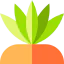 Plant 图标 64x64