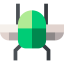 Insect icône 64x64
