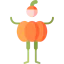 Pumpkin icon 64x64