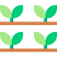 Sprouts 图标 64x64