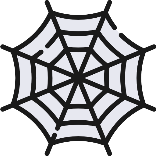 Spider web icon