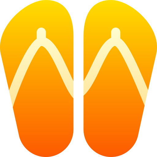 Flip flops Symbol