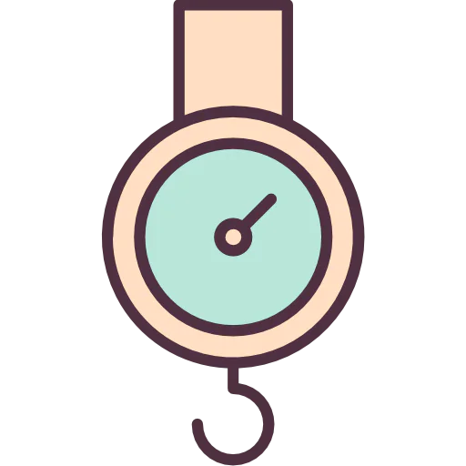 Scale icon