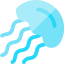 Jellyfish icon 64x64