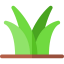 Grass icon 64x64