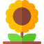 Flower icon 64x64