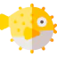Puffer fish icon 64x64