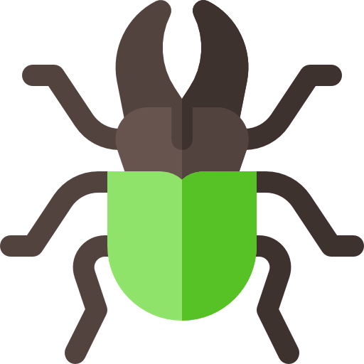 Beetle 图标