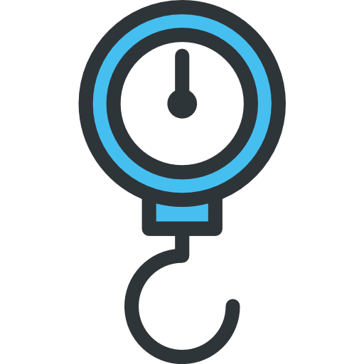 Scale icon
