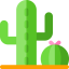 Cactus icon 64x64