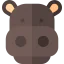 Hippo icon 64x64