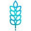 Wheat icon 64x64
