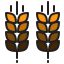 Wheat icon 64x64