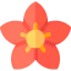 Flower icon 64x64
