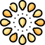 Seed icône 64x64