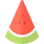 Watermelon icon 64x64