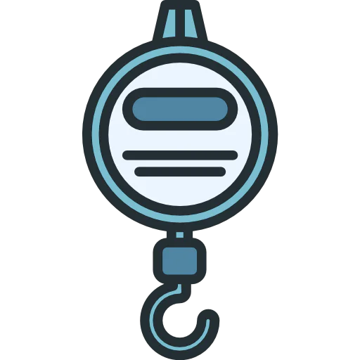 Scale icon