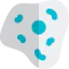 Sample icon 64x64