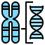 Chromosome Ikona 64x64