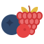 Berries іконка 64x64
