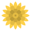 Flower ícono 64x64