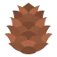 Pine cone icon 64x64