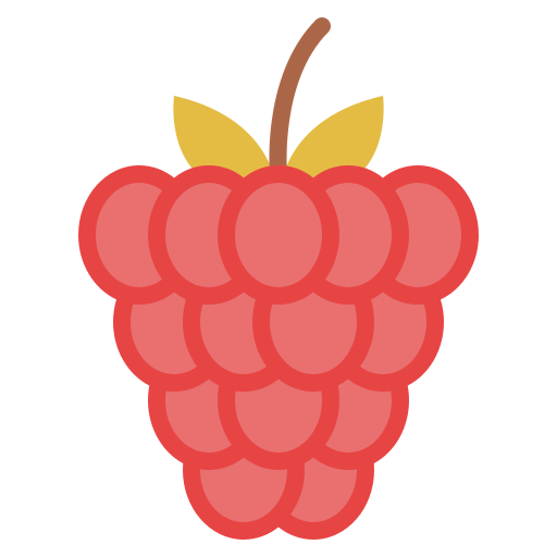 Raspberry icône