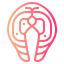 Salmon 图标 64x64