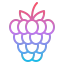 Raspberry biểu tượng 64x64