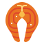 Salmon 图标 64x64