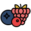 Berries Symbol 64x64