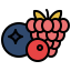 Berries 图标 64x64