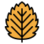 Leaf 图标 64x64