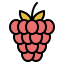 Raspberry 图标 64x64