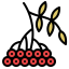 Rowan icon 64x64