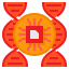 Dna icône 64x64