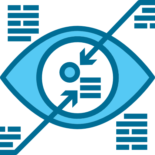 Vision icon
