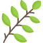 Branch biểu tượng 64x64