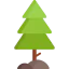 Pine biểu tượng 64x64
