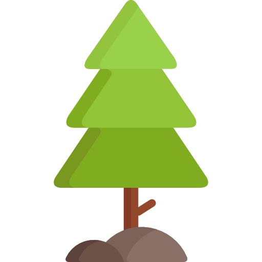Pine icon