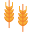 Wheat biểu tượng 64x64