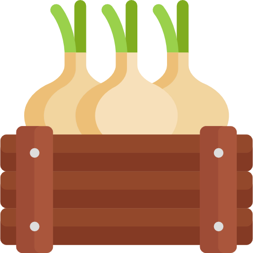 Onion 图标
