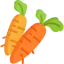Carrot biểu tượng 64x64
