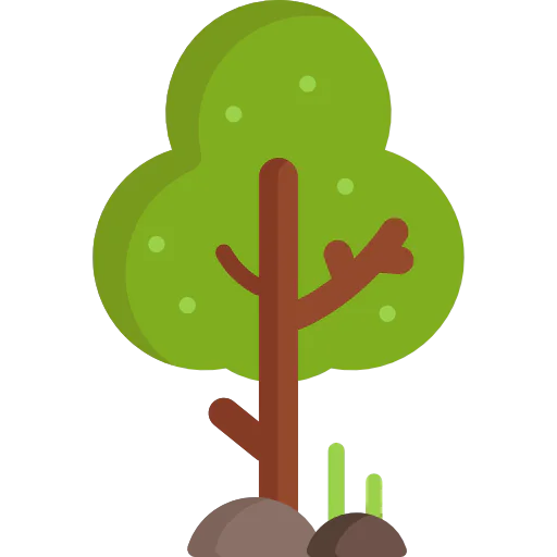 Tree biểu tượng