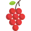 Grapes biểu tượng 64x64