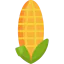 Corn 图标 64x64