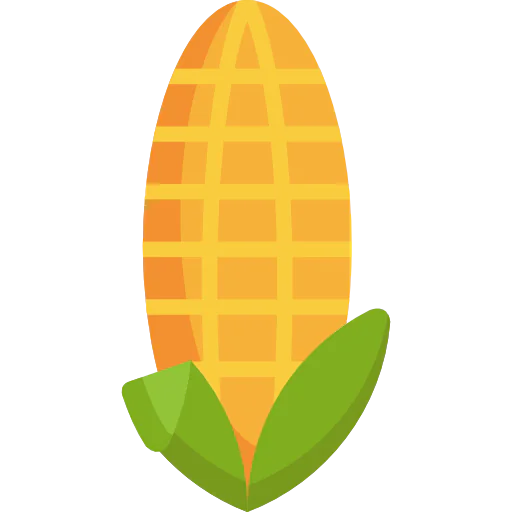 Corn icon
