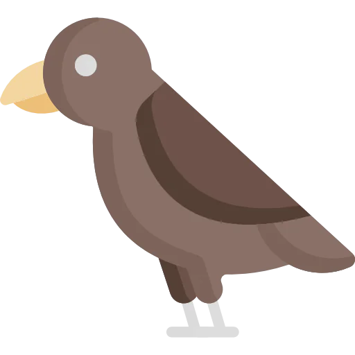 Bird biểu tượng