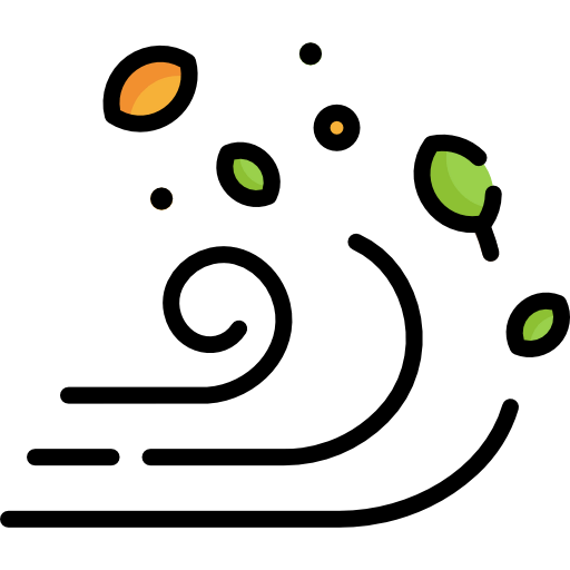 Wind icon